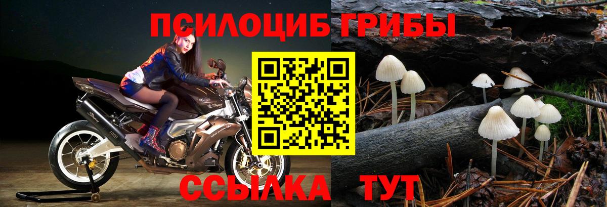 Псилоцибиновые грибы MAGIC MUSHROOMS Камышин
