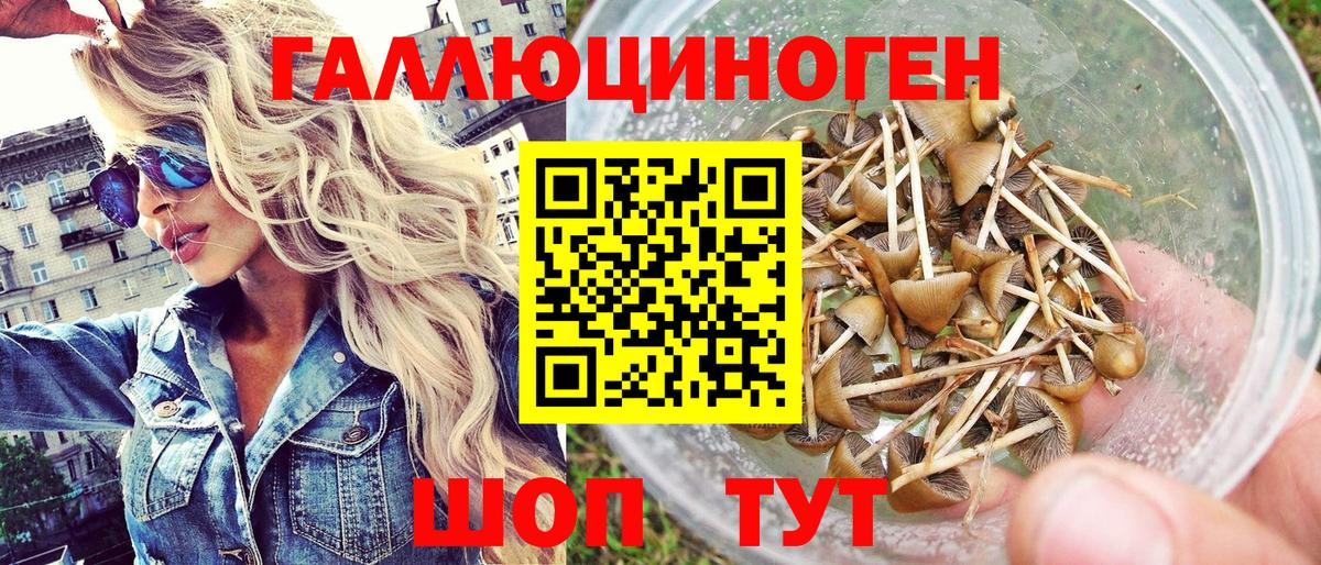 Галлюциногенные грибы мицелий  Псилоцибиновые грибы MAGIC MUSHROOMS  Камышин  Вход с VPN 
