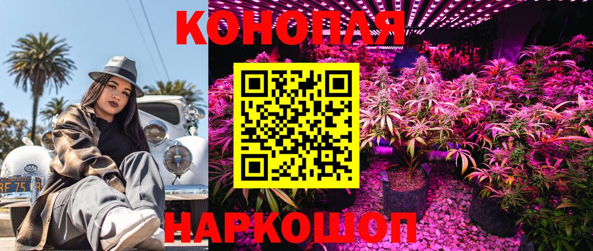 Шишки марихуана сатива  Бошки Шишки ГИДРОПОН  Вход с VPN  Камышин  Марихуана Ganja 